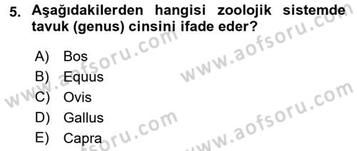 Temel Zootekni Dersi 2017 - 2018 Yılı (Vize) Ara Sınavı 5. Soru