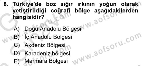 Temel Zootekni Dersi 2017 - 2018 Yılı (Vize) Ara Sınavı 8. Soru