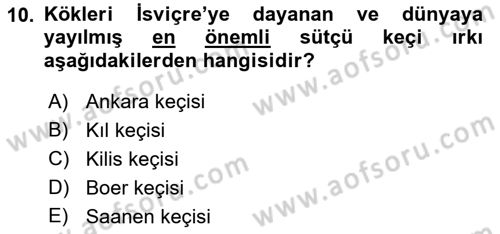 Temel Zootekni Dersi 2018 - 2019 Yılı (Vize) Ara Sınavı 10. Soru