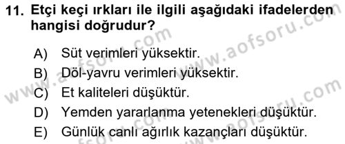 Temel Zootekni Dersi 2018 - 2019 Yılı (Vize) Ara Sınavı 11. Soru