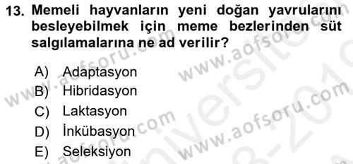 Temel Zootekni Dersi 2018 - 2019 Yılı (Vize) Ara Sınavı 13. Soru