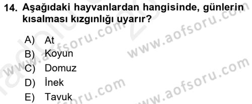 Temel Zootekni Dersi 2018 - 2019 Yılı (Vize) Ara Sınavı 14. Soru