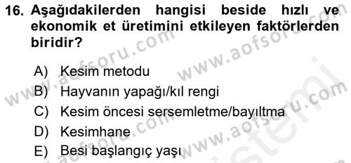 Temel Zootekni Dersi 2018 - 2019 Yılı (Vize) Ara Sınavı 16. Soru