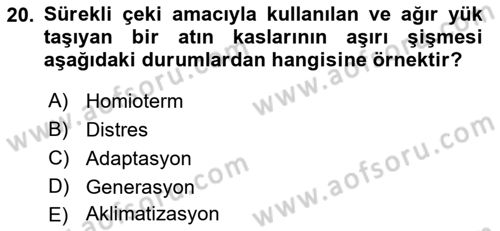 Temel Zootekni Dersi 2018 - 2019 Yılı (Vize) Ara Sınavı 20. Soru