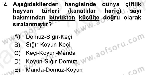 Temel Zootekni Dersi 2018 - 2019 Yılı (Vize) Ara Sınavı 4. Soru