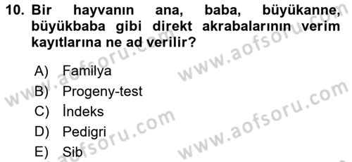 Temel Zootekni Dersi 2018 - 2019 Yılı (Final) Dönem Sonu Sınavı 10. Soru