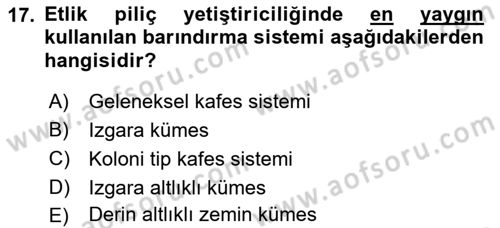 Temel Zootekni Dersi 2018 - 2019 Yılı (Final) Dönem Sonu Sınavı 17. Soru