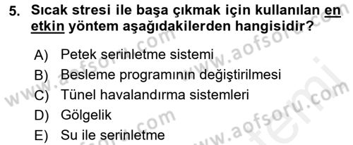 Temel Zootekni Dersi 2018 - 2019 Yılı (Final) Dönem Sonu Sınavı 5. Soru