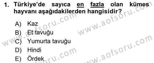 Temel Zootekni Dersi 2018 - 2019 Yılı Yaz Okulu Sınav Soruları 1. Soru