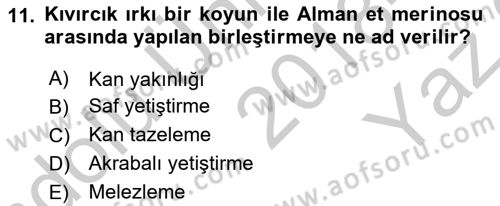 Temel Zootekni Dersi 2018 - 2019 Yılı Yaz Okulu Sınavı 11. Soru