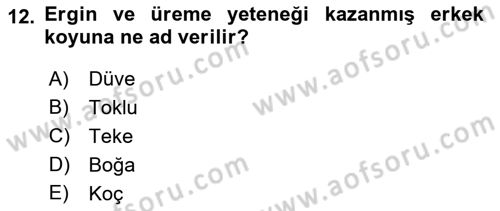 Temel Zootekni Dersi 2018 - 2019 Yılı Yaz Okulu Sınavı 12. Soru