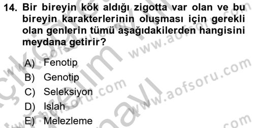 Temel Zootekni Dersi 2018 - 2019 Yılı Yaz Okulu Sınav Soruları 14. Soru
