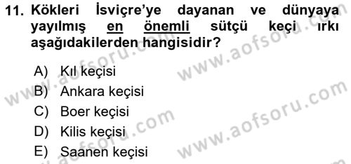 Temel Zootekni Dersi 2019 - 2020 Yılı (Vize) Ara Sınavı 11. Soru