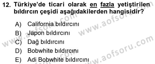 Temel Zootekni Dersi 2019 - 2020 Yılı (Vize) Ara Sınavı 12. Soru