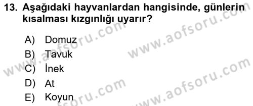 Temel Zootekni Dersi 2019 - 2020 Yılı (Vize) Ara Sınavı 13. Soru