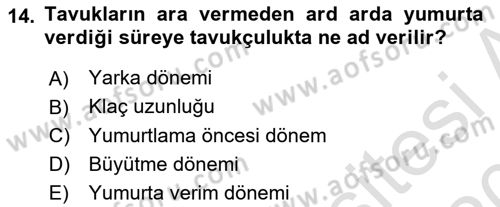 Temel Zootekni Dersi 2019 - 2020 Yılı (Vize) Ara Sınavı 14. Soru