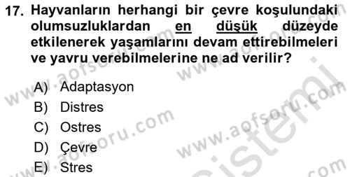 Temel Zootekni Dersi 2019 - 2020 Yılı (Vize) Ara Sınavı 17. Soru