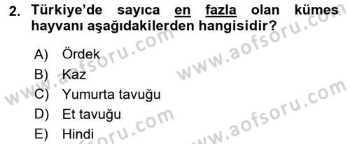 Temel Zootekni Dersi 2019 - 2020 Yılı (Vize) Ara Sınavı 2. Soru