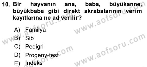 Temel Zootekni Dersi 2019 - 2020 Yılı (Final) Dönem Sonu Sınav Soruları 10. Soru