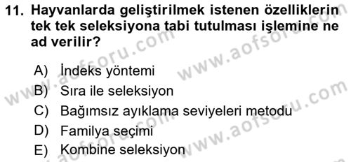 Temel Zootekni Dersi 2019 - 2020 Yılı (Final) Dönem Sonu Sınav Soruları 11. Soru