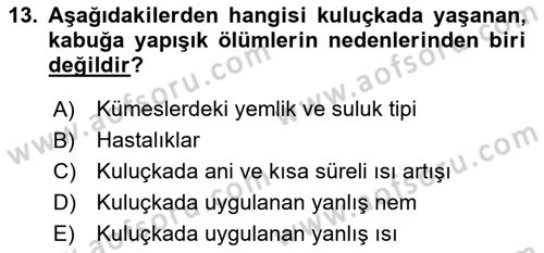 Temel Zootekni Dersi 2019 - 2020 Yılı (Final) Dönem Sonu Sınav Soruları 13. Soru