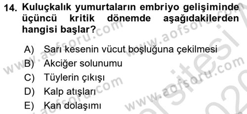 Temel Zootekni Dersi 2019 - 2020 Yılı (Final) Dönem Sonu Sınav Soruları 14. Soru