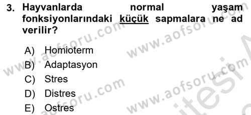 Temel Zootekni Dersi 2019 - 2020 Yılı (Final) Dönem Sonu Sınav Soruları 3. Soru