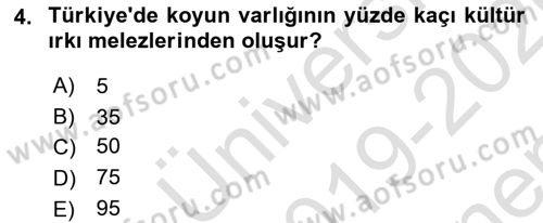 Temel Zootekni Dersi 2019 - 2020 Yılı (Final) Dönem Sonu Sınav Soruları 4. Soru