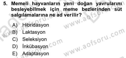 Temel Zootekni Dersi 2019 - 2020 Yılı (Final) Dönem Sonu Sınav Soruları 5. Soru