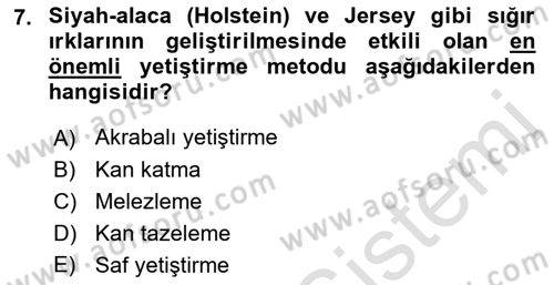 Temel Zootekni Dersi 2019 - 2020 Yılı (Final) Dönem Sonu Sınav Soruları 7. Soru