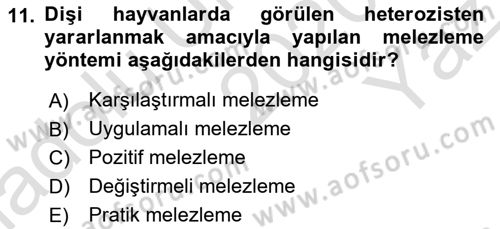 Temel Zootekni Dersi 2020 - 2021 Yılı Yaz Okulu Sınavı 11. Soru