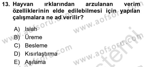 Temel Zootekni Dersi 2020 - 2021 Yılı Yaz Okulu Sınavı 13. Soru