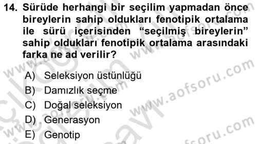 Temel Zootekni Dersi 2020 - 2021 Yılı Yaz Okulu Sınavı 14. Soru