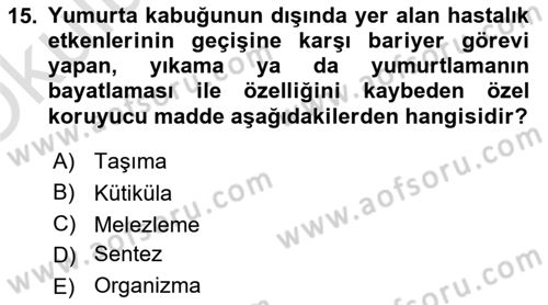 Temel Zootekni Dersi 2020 - 2021 Yılı Yaz Okulu Sınavı 15. Soru