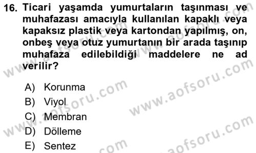 Temel Zootekni Dersi 2020 - 2021 Yılı Yaz Okulu Sınavı 16. Soru