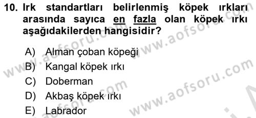 Temel Zootekni Dersi 2021 - 2022 Yılı (Vize) Ara Sınav Soruları 10. Soru