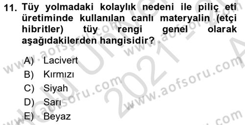 Temel Zootekni Dersi 2021 - 2022 Yılı (Vize) Ara Sınav Soruları 11. Soru