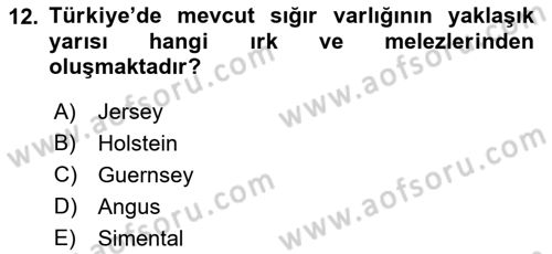 Temel Zootekni Dersi 2021 - 2022 Yılı (Vize) Ara Sınav Soruları 12. Soru