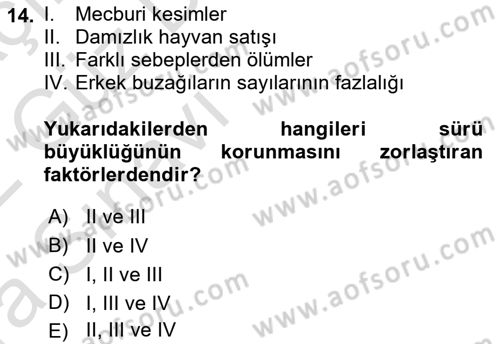 Temel Zootekni Dersi 2021 - 2022 Yılı (Vize) Ara Sınav Soruları 14. Soru