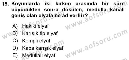 Temel Zootekni Dersi 2021 - 2022 Yılı (Vize) Ara Sınav Soruları 15. Soru