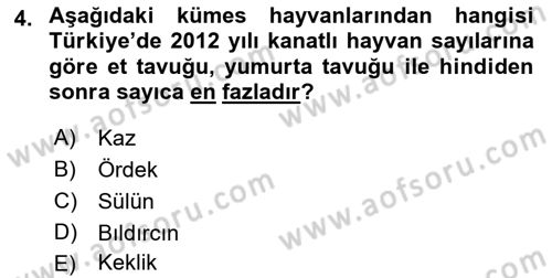 Temel Zootekni Dersi 2021 - 2022 Yılı (Vize) Ara Sınav Soruları 4. Soru