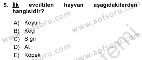 Temel Zootekni Dersi 2021 - 2022 Yılı (Vize) Ara Sınav Soruları 5. Soru