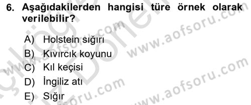 Temel Zootekni Dersi 2021 - 2022 Yılı (Vize) Ara Sınav Soruları 6. Soru