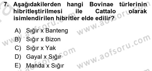 Temel Zootekni Dersi 2021 - 2022 Yılı (Vize) Ara Sınav Soruları 7. Soru