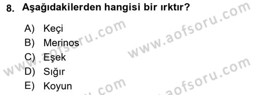 Temel Zootekni Dersi 2021 - 2022 Yılı (Vize) Ara Sınav Soruları 8. Soru