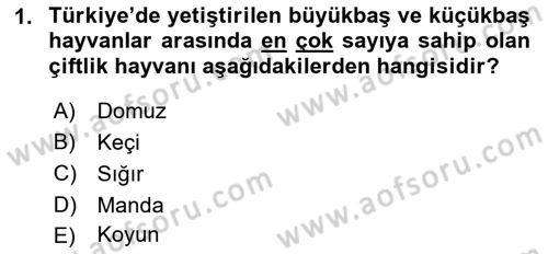 Temel Zootekni Dersi 2021 - 2022 Yılı (Final) Dönem Sonu Sınavı 1. Soru