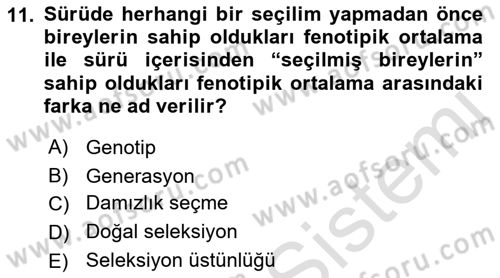 Temel Zootekni Dersi 2021 - 2022 Yılı (Final) Dönem Sonu Sınavı 11. Soru