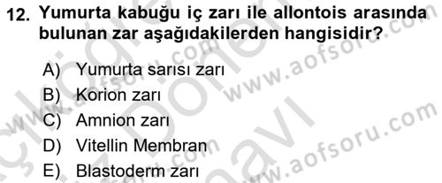 Temel Zootekni Dersi 2021 - 2022 Yılı (Final) Dönem Sonu Sınavı 12. Soru