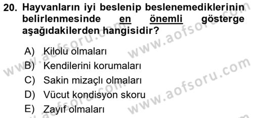 Temel Zootekni Dersi 2021 - 2022 Yılı (Final) Dönem Sonu Sınavı 20. Soru