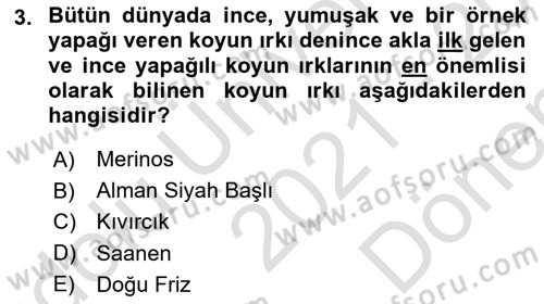 Temel Zootekni Dersi 2021 - 2022 Yılı (Final) Dönem Sonu Sınavı 3. Soru